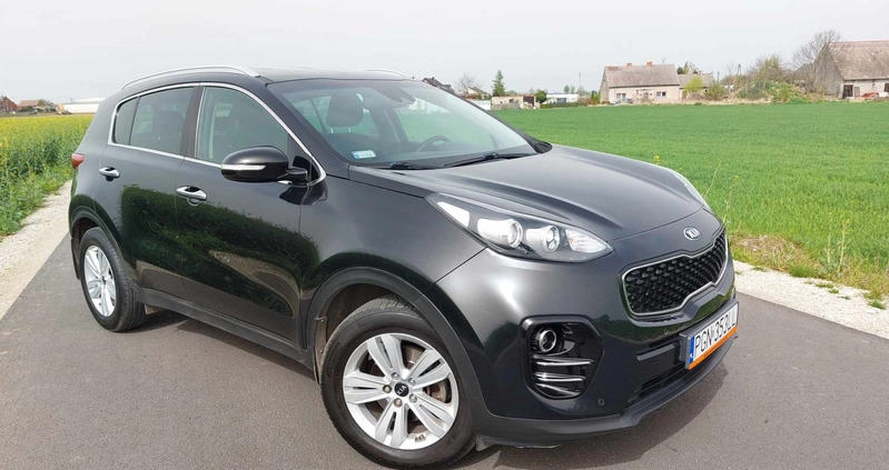 Kia Sportage cena 73900 przebieg: 175000, rok produkcji 2016 z Witkowo małe 211